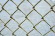 Wire Mesh Chainlink Fence