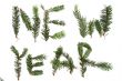New Year decorating