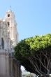 Church & Tree