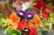 Colorful Bouquet