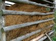 Shelter for hay