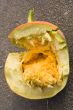 broken pumpkin