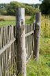 wooden fence