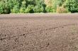 Arable land