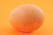 free-range egg