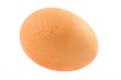 free-range egg