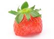 strawberry bite with a stalk - real macro