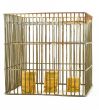 banking - coins in cage on white #3