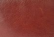 brown leather texture