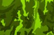 close-up of Camouflage pattern