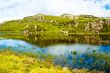 Green Landscape with Water