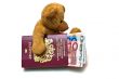 Teddy Bear with Cash and Passport