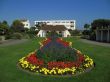flower bed