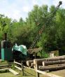 crane at sawmill