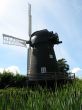 Windmill and rushes