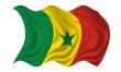 Waving Flag of Senegal