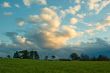 Green fields at Sunset under a Cloudy Sky