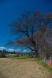 Colourful Rural Backyard/Farmyard