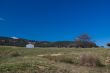 Rural Landscape: Farm House and Trees