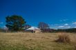 Rural Landscape: Farm House and Trees