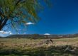 Rural Landscape
