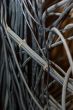 Railway Points Cables