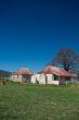 Dilapidated Farm House and Tree