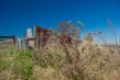 Dilapidated Roadside Corrugated Iron Fence