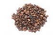 spilled coffee beans on white