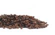 spilled coffee beans on white