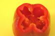 red pepper profile on yellow