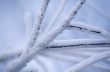 Hoarfrost