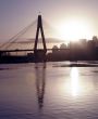 Anzac Bridge In Evening Light