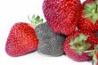strawberry outcast