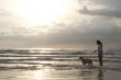 Dog Walk on Patong Beach