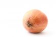 onion on white