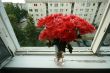 Chrysanthemum bouquet in glass vase on wIndow with house in background