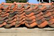 Tile on the roof