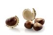 chestnuts in autumn