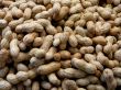 Organic Peanuts