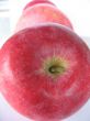 Red apple