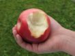 Red apple
