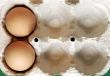 Two Eggs