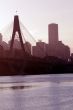 Anzac Bridge In Evening Light
