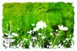 floral style textures