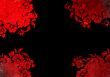 floral style backgrounds frame