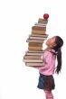 Education Series (sky high books)