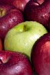 Apples