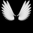 Angel wings