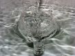 Water drop